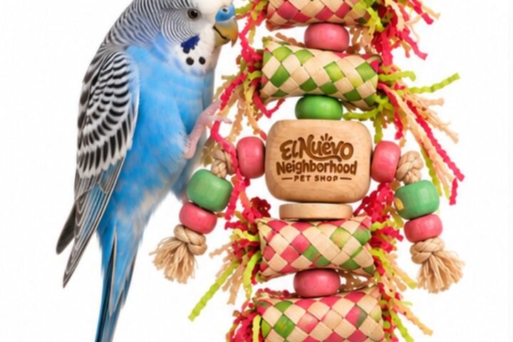 A budgerigar playing with the bamboo foraging toy